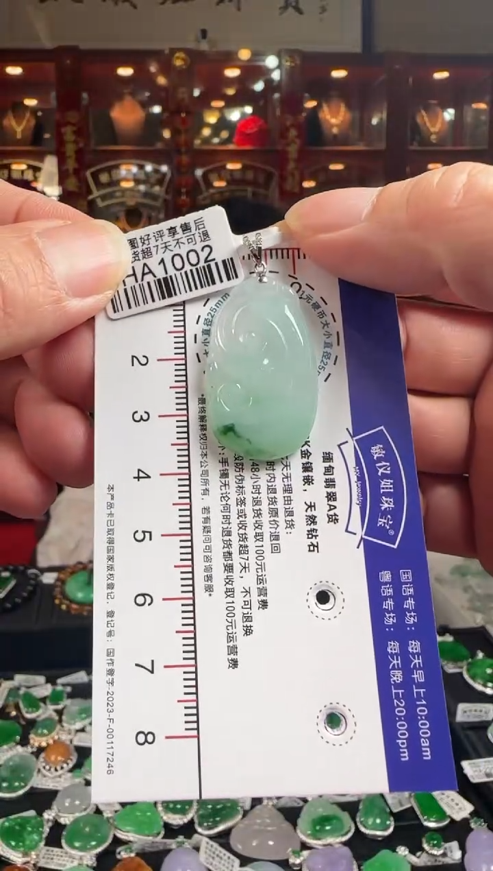 【闪购商品】翡翠颈饰18K金镶嵌HA1002 如意