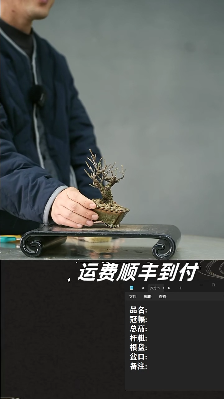 【闪购商品】8红紫檀