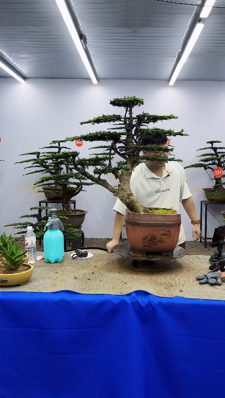 以实际为准一物一拍，所见即所得