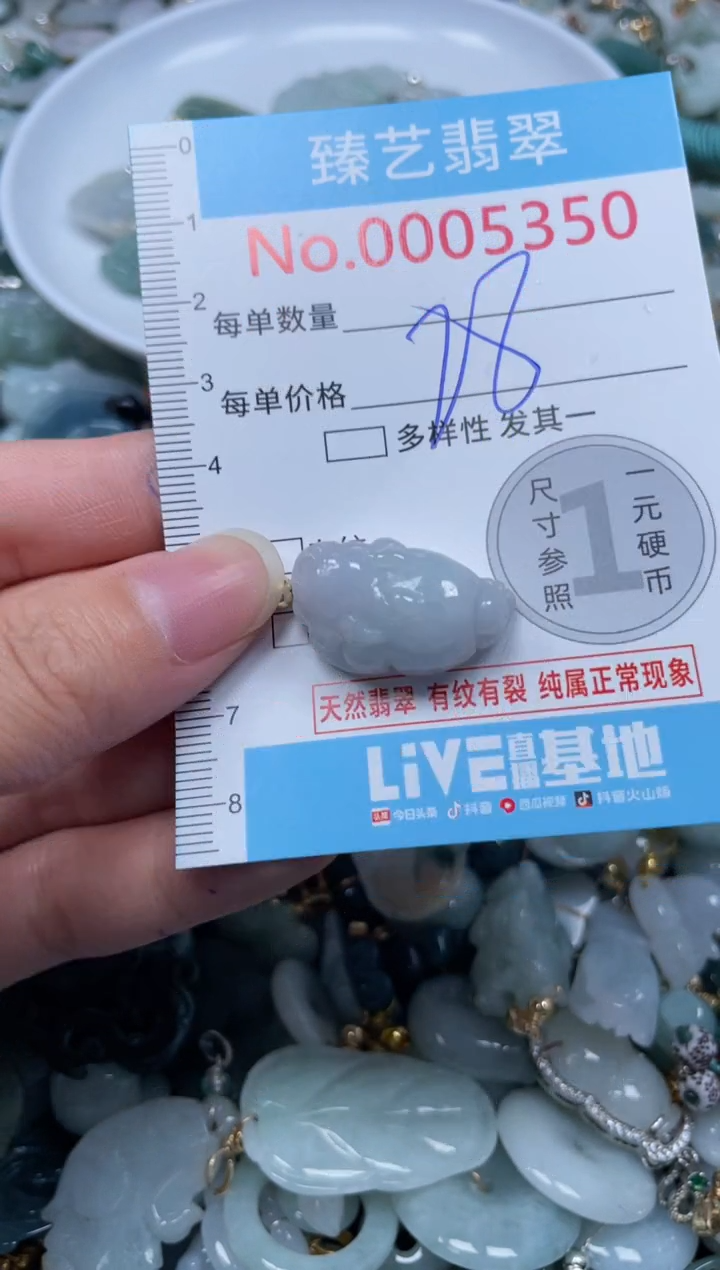 颈饰未镶嵌翡翠5350