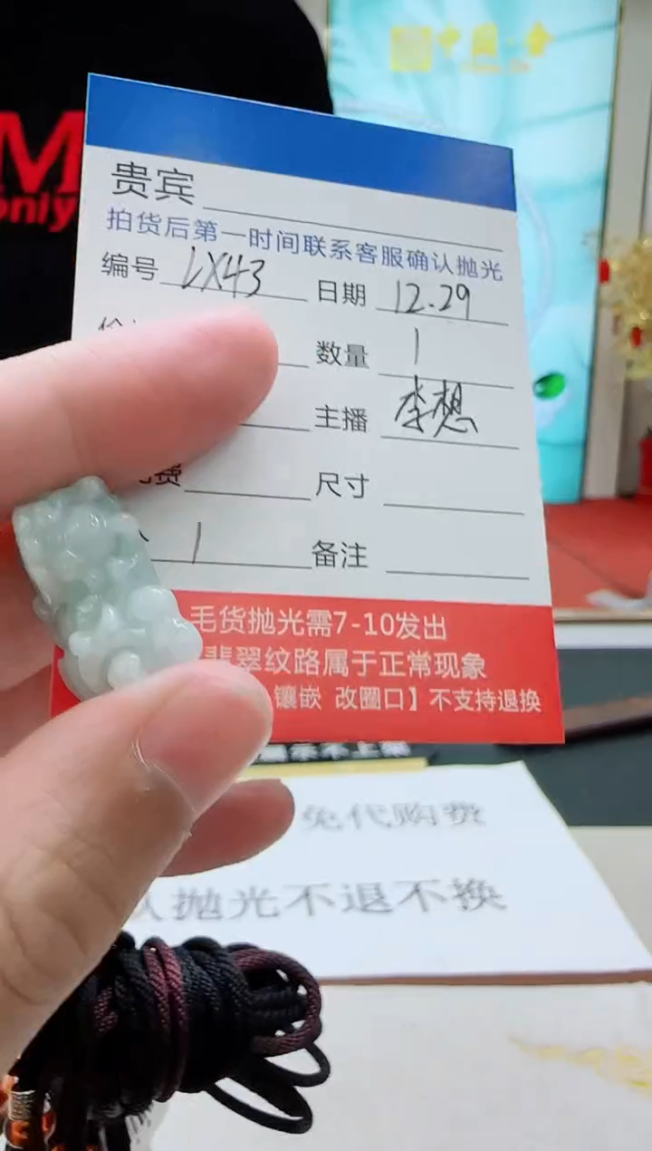 颈饰未镶嵌翡翠LX43翡翠吊坠-多样性发其一