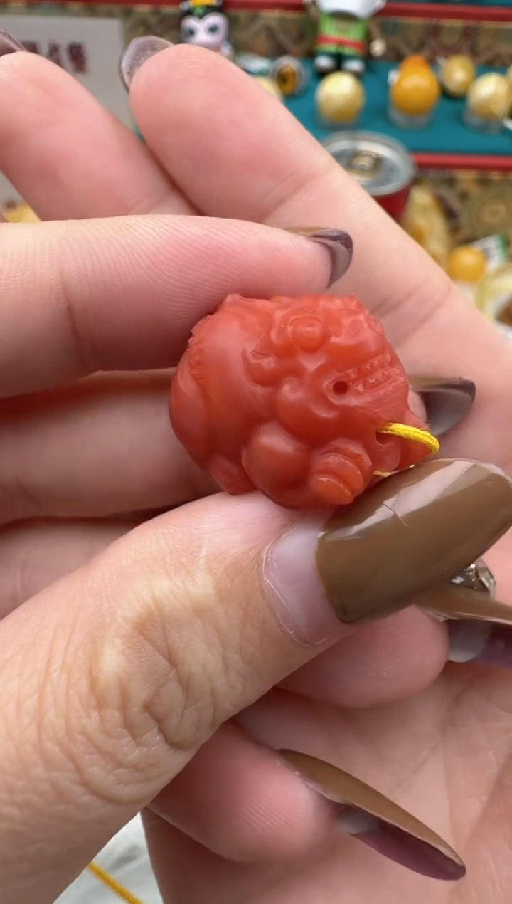 未镶嵌南红玛瑙珠宝奇石HZ179