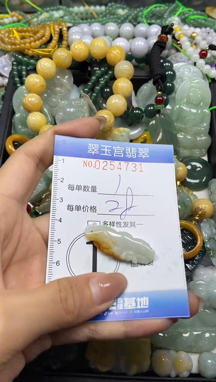 颈饰未镶嵌翡翠闪购C0254731