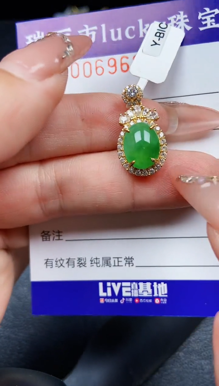 翡翠银S925镶嵌颈饰6962