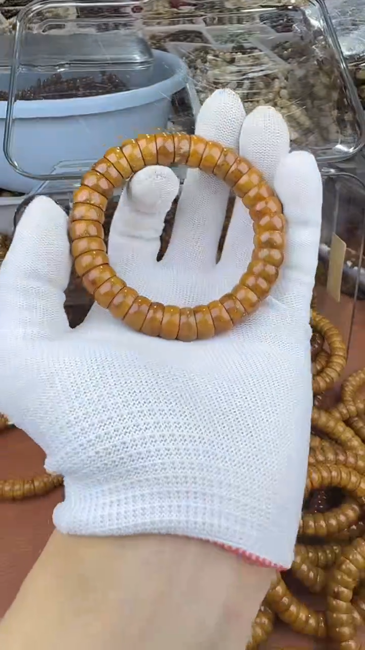 手串紫金鼠紫金鼠B11款碗肠