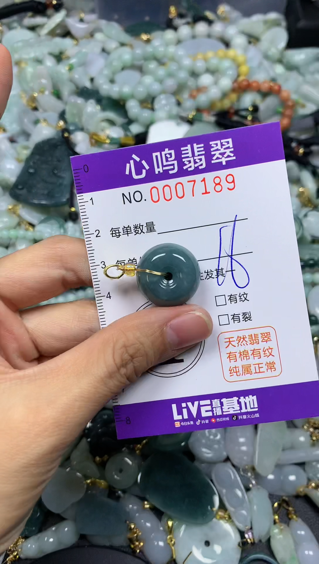 【闪购商品】翡翠颈饰未镶嵌闪购007189