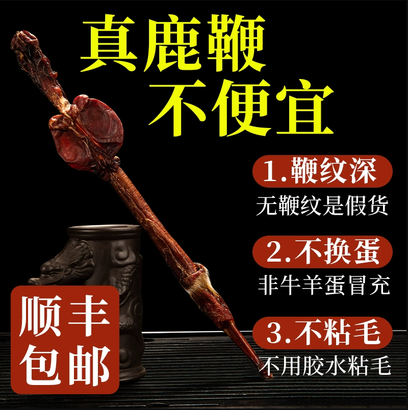 【晟鹿和】梅花鹿鹿鞭干 整根 整枝 带证书 可溯源