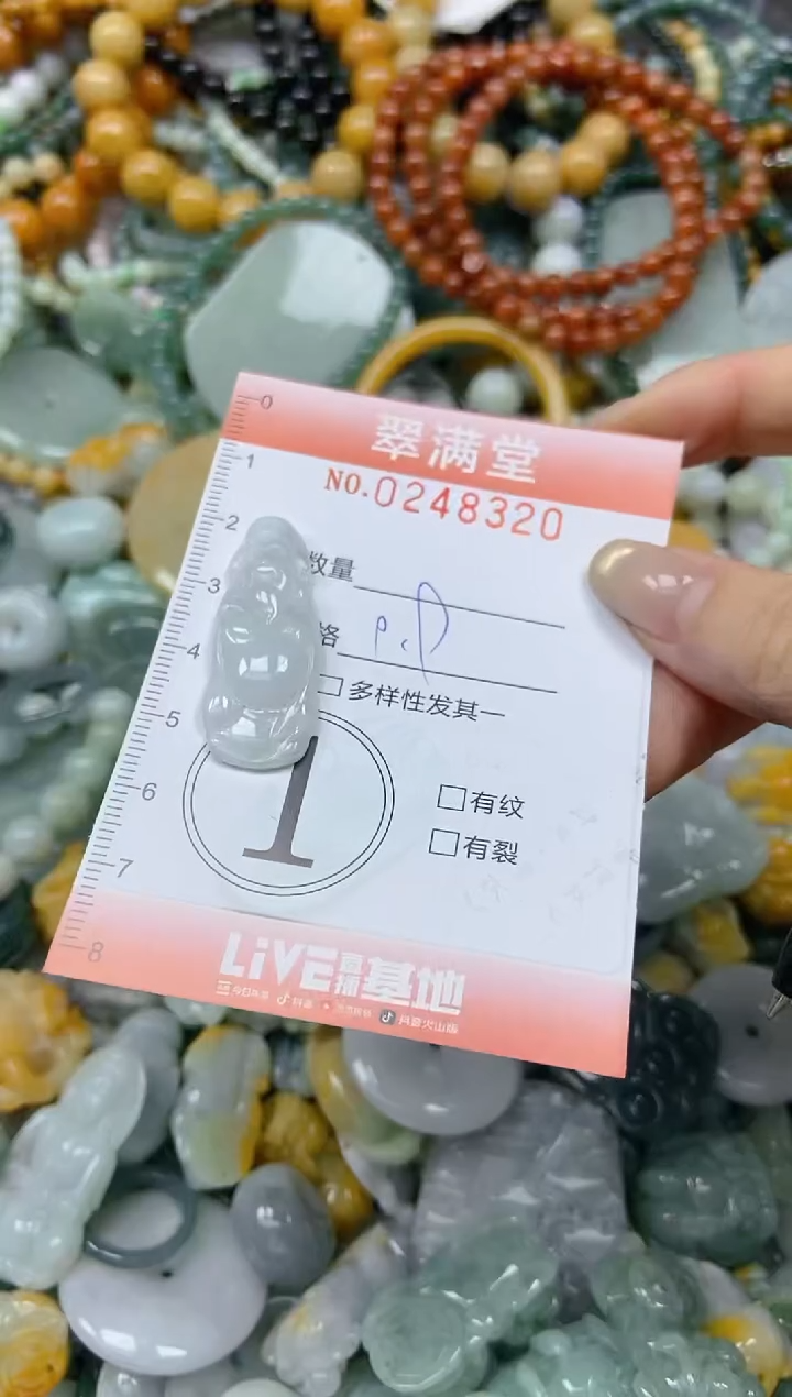 未镶嵌挂件翡翠闪购0248320