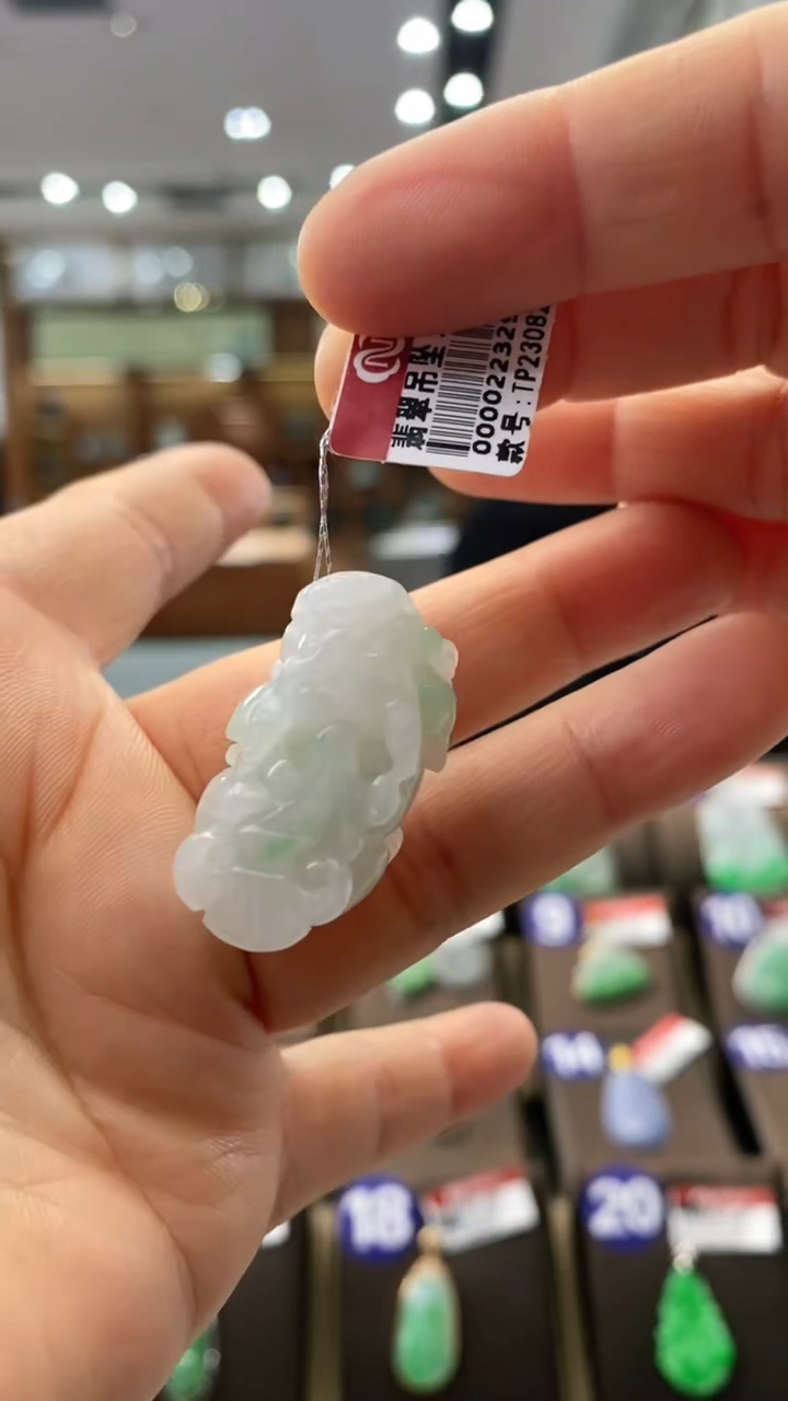 【闪购商品】翡翠颈饰未镶嵌貔貅