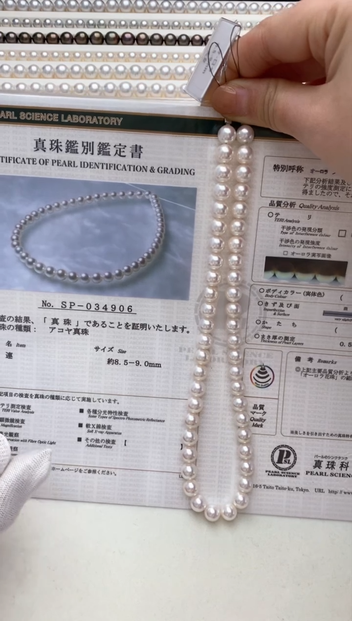 【闪购商品】海水珍珠颈饰未镶嵌8.5-9mm天女项链