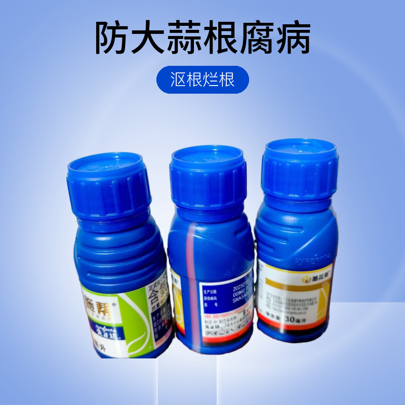 蔬菜大蒜拌种专用预防根腐病沤根烂根及蒜蛆等地下害虫