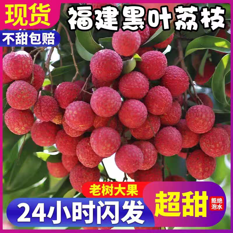 次日达 顺丰冷链现摘现发福建老树黑叶荔枝荔枝新鲜水果5斤荔枝同城送