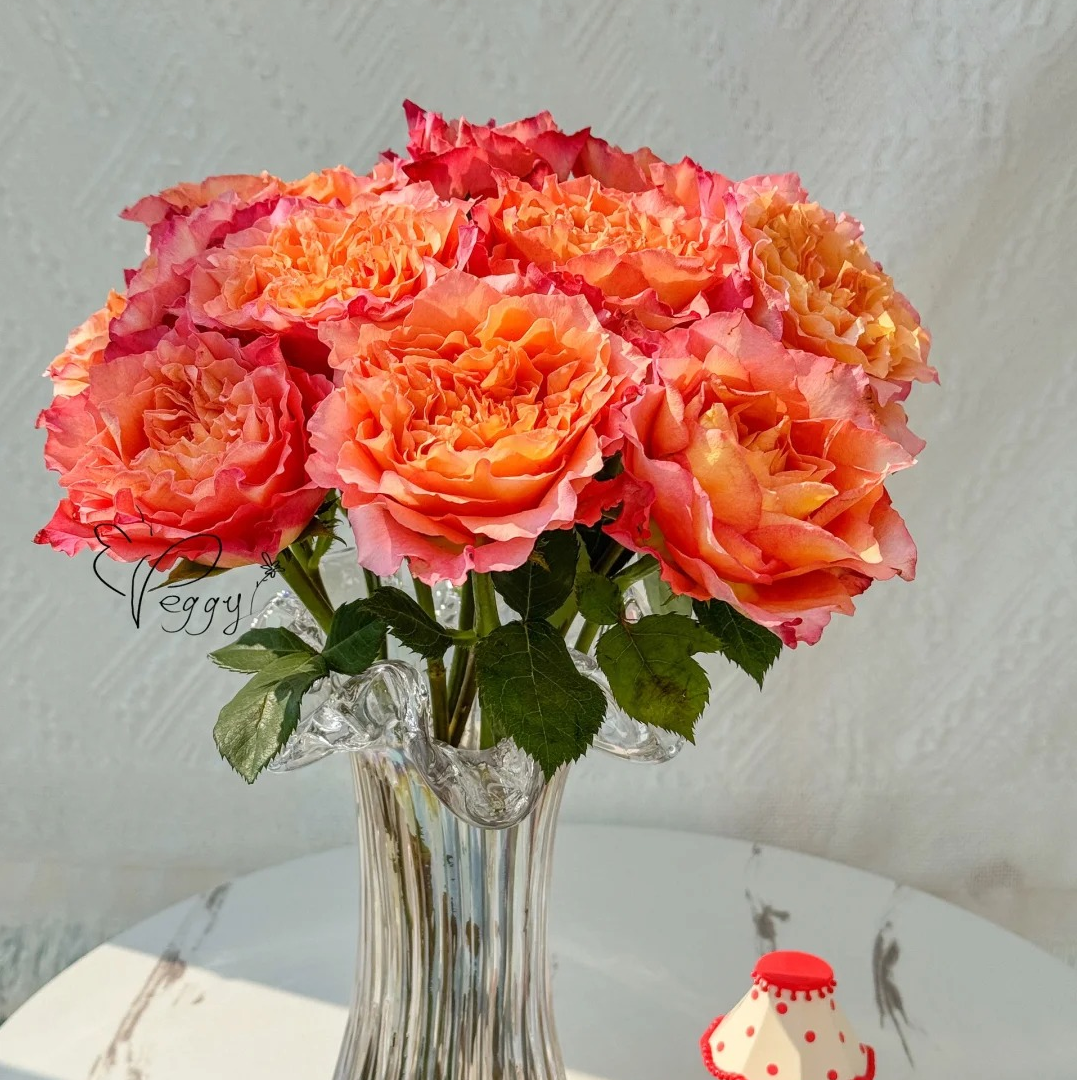 【月亮花圃】单头（火灵鸟）玫瑰1单普通快递，2单以上顺丰冷链