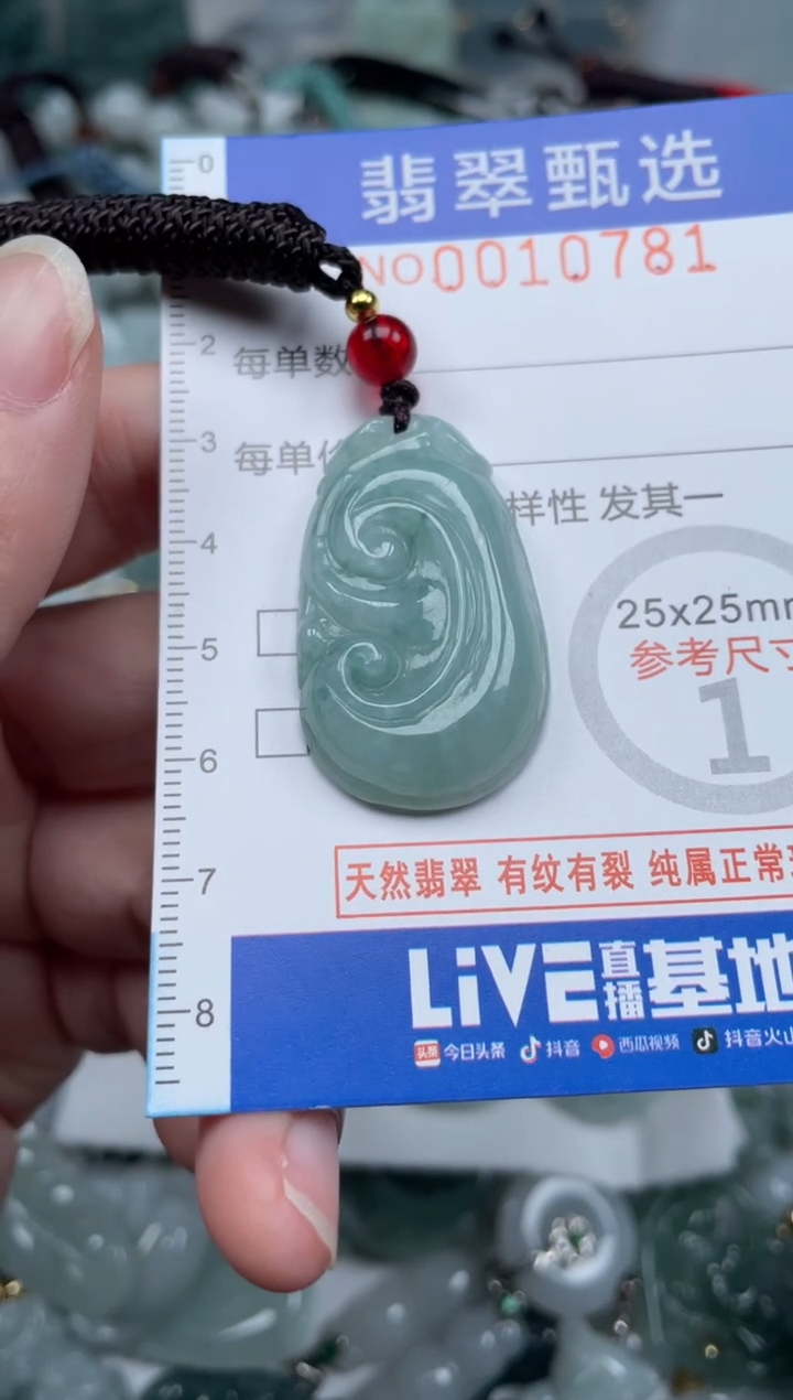 颈饰未镶嵌翡翠10781