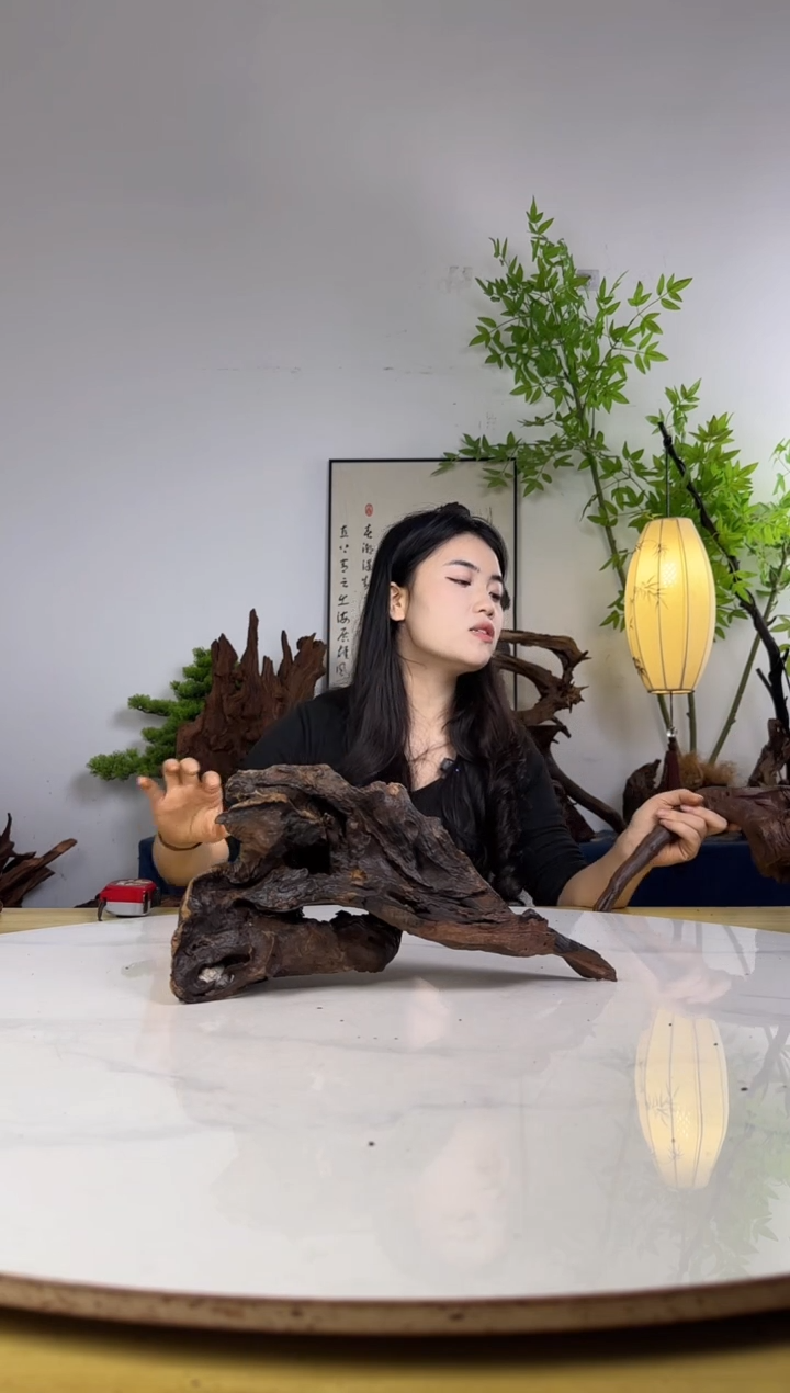 刘***能拍沉木定向链接编号24