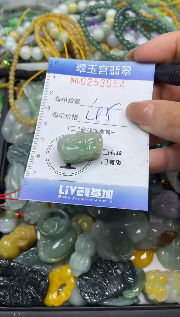 颈饰未镶嵌翡翠闪购C0253054