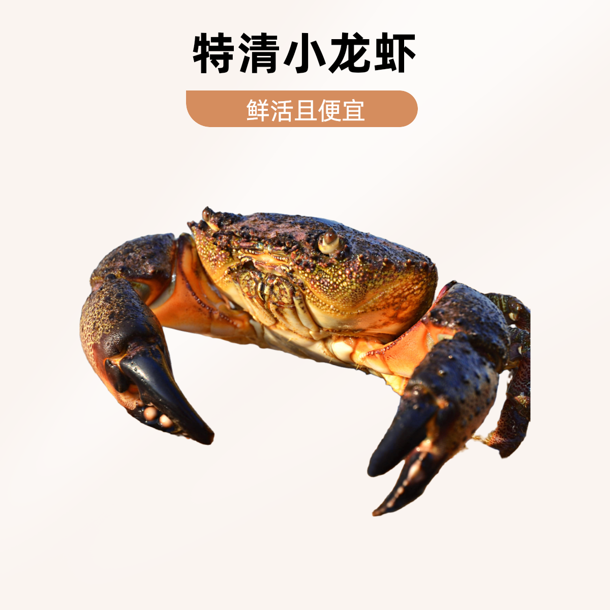 螃蟹（规格）3.9-4.4G｜4.5公/只