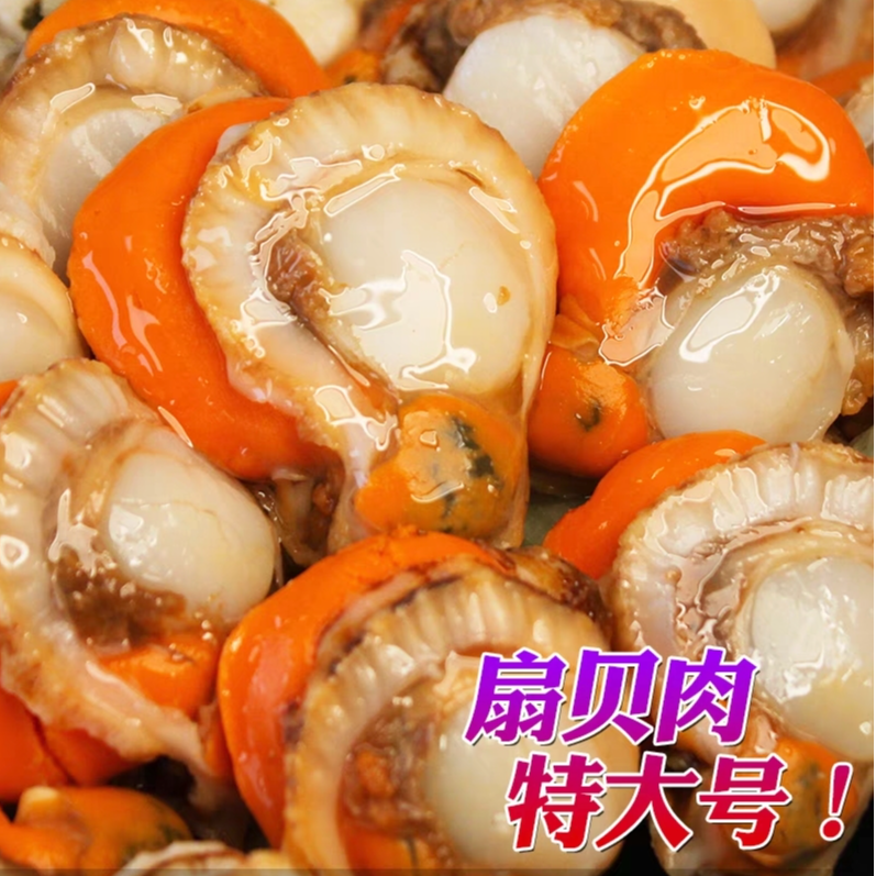 到手5斤特大号扇贝肉无泥无沙带黄带膏500g/包冷链包邮o