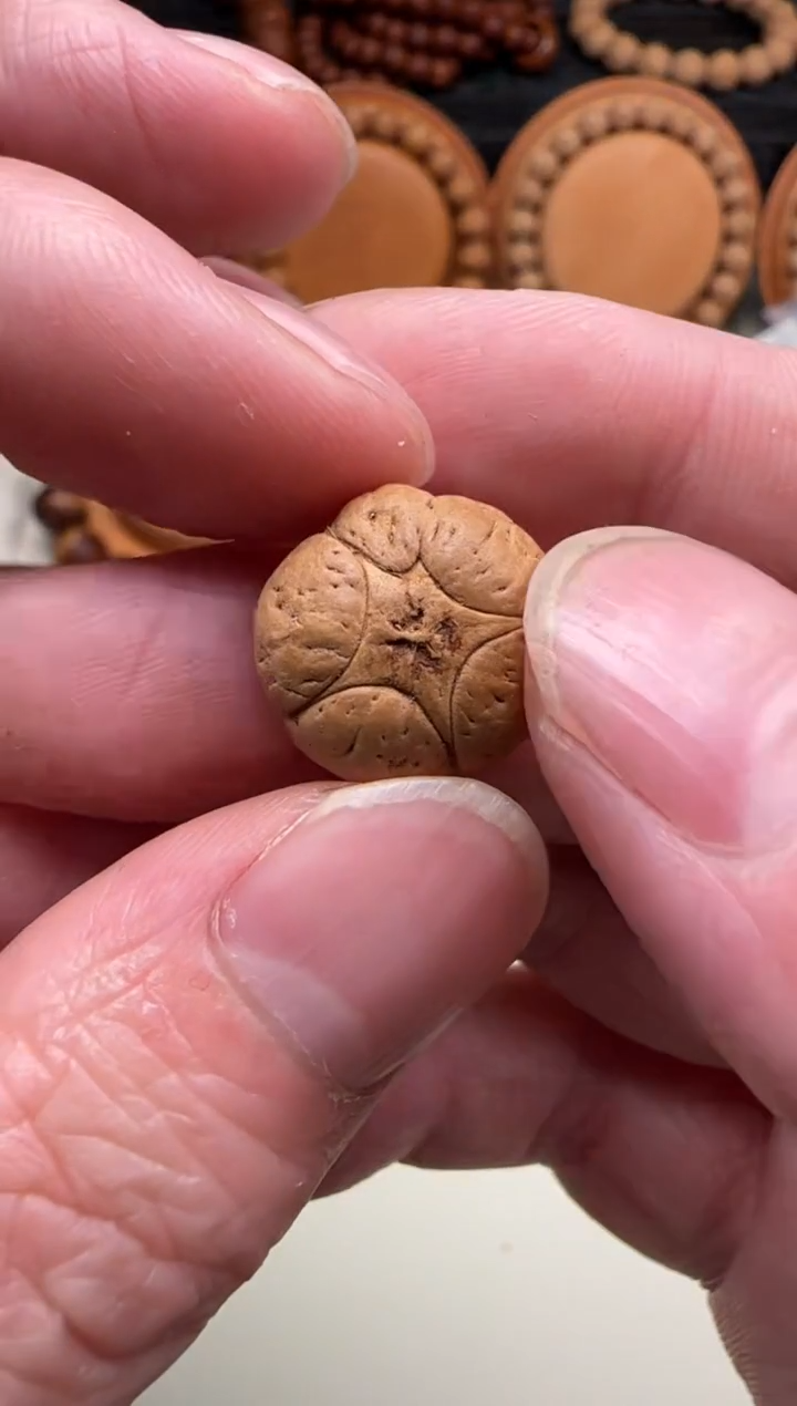 【闪购商品】凤眼菩提吊坠30号五星