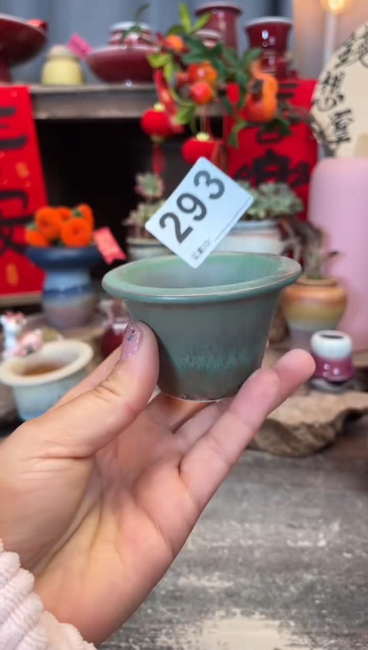 【闪购商品】摆件293福利知木小芳花盆