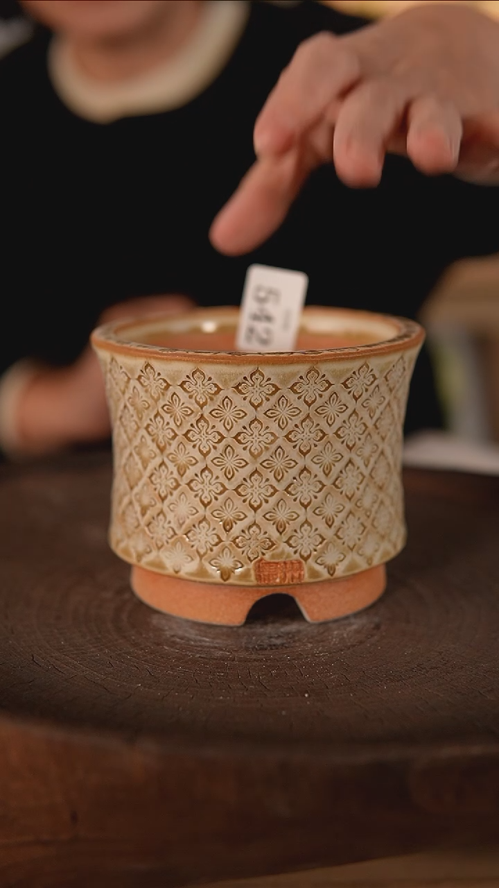 【闪购商品】陶瓷2-8-542默认瑕口径9