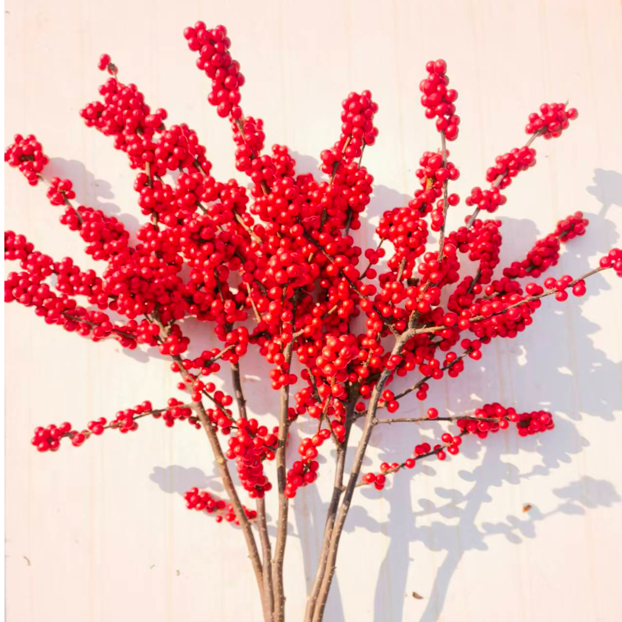 3枝B级冬青30-40cm（运输难免掉果，介意勿拍！福利款不售后）