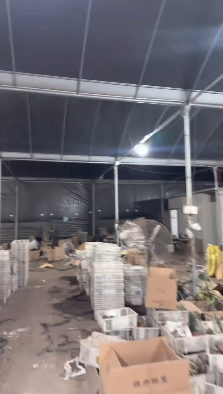 一框5颗【大小 品种不指定】无售后