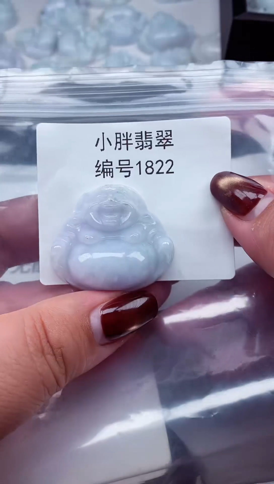 颈饰未镶嵌翡翠缅甸天然A货翡翠1822