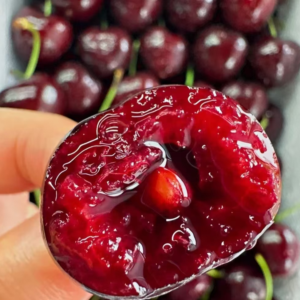 桑提娜 3JD车厘子一箱（5斤装）