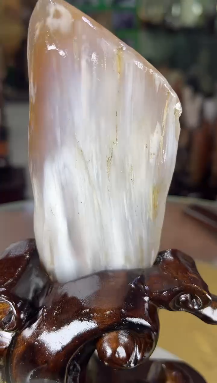 未镶嵌珠宝奇石硅化玉缅甸天然树化玉摆件