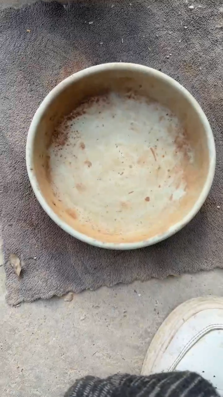 摆件瓷器瓷器瓷器瓷器