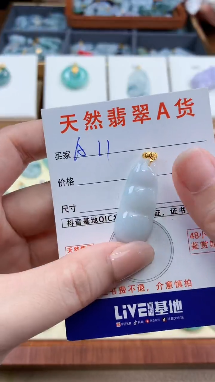 颈饰未镶嵌翡翠天然A货翡翠挂件
