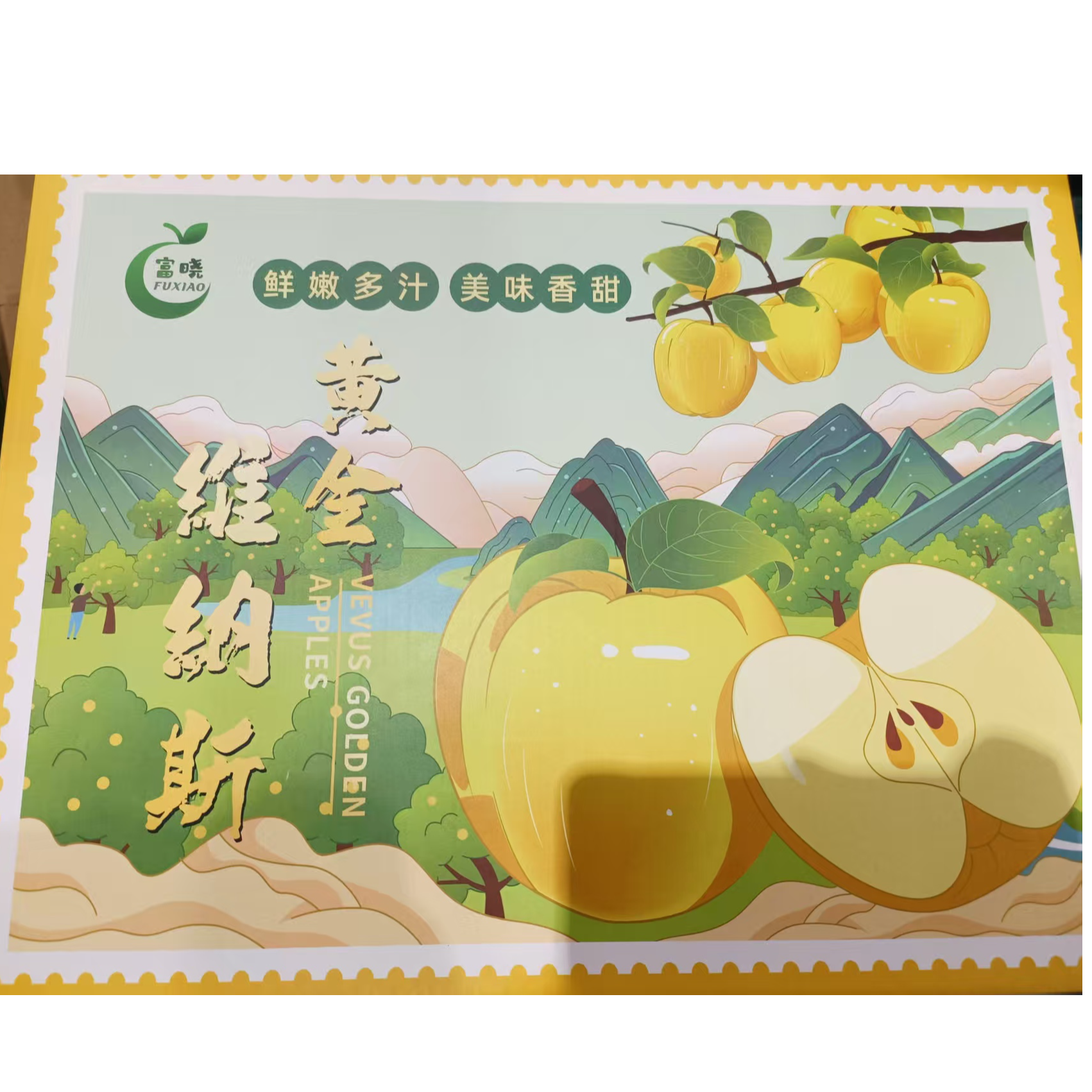 【礼盒】绿箱苹果贵族黄金维纳斯嘎嘎好吃，毛重3.5斤