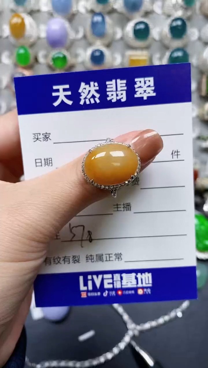 【闪购商品】翡翠颈饰银S925镶嵌0578