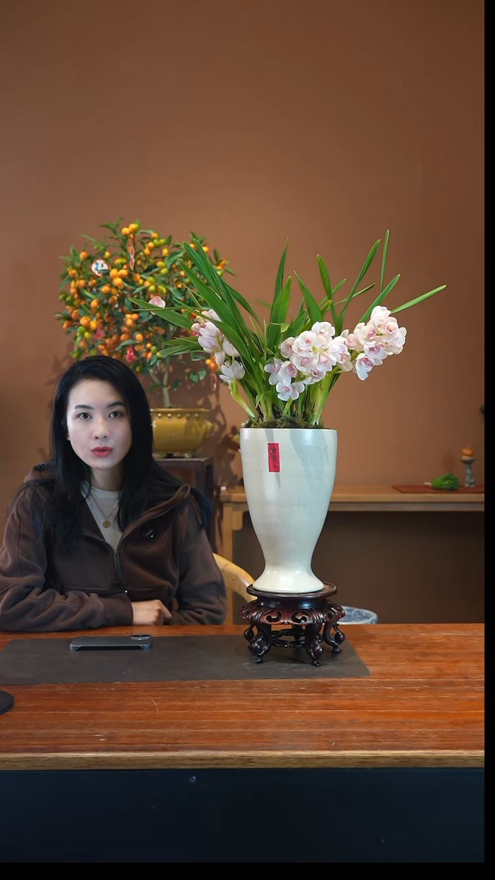 全部花朵小仙女盆景盆景盆景