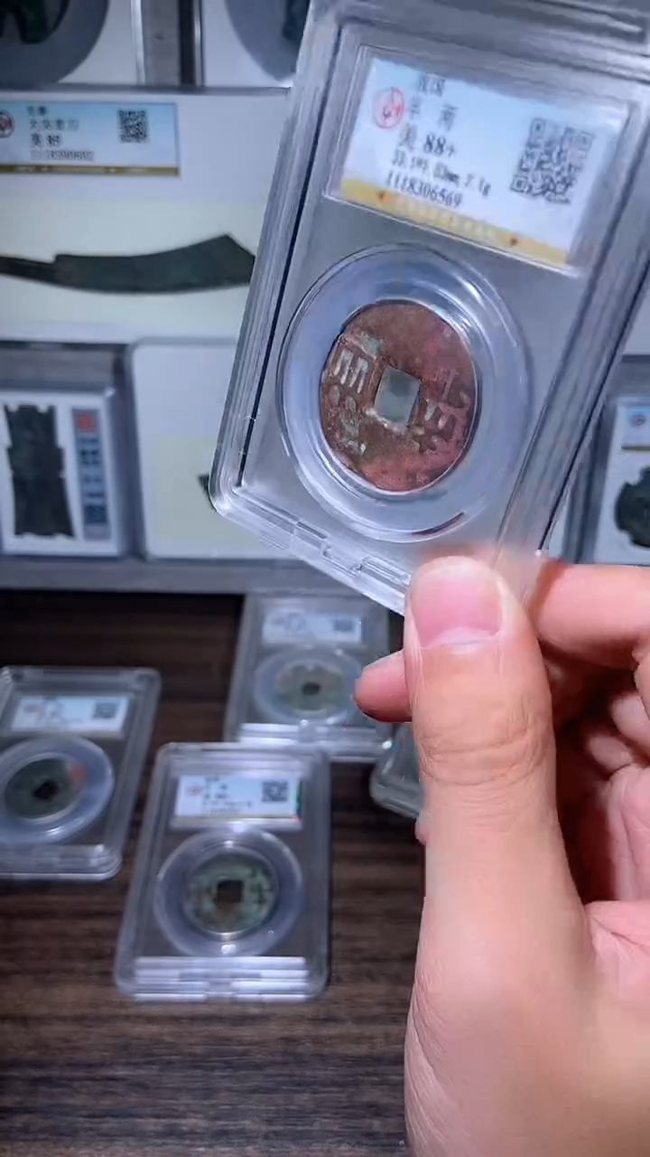 【闪购商品】铜历代   战半战半一枚