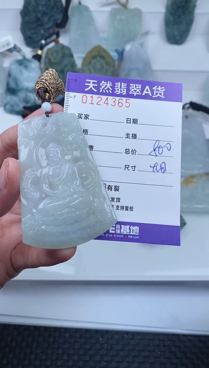 【闪购商品】翡翠颈饰未镶嵌         365