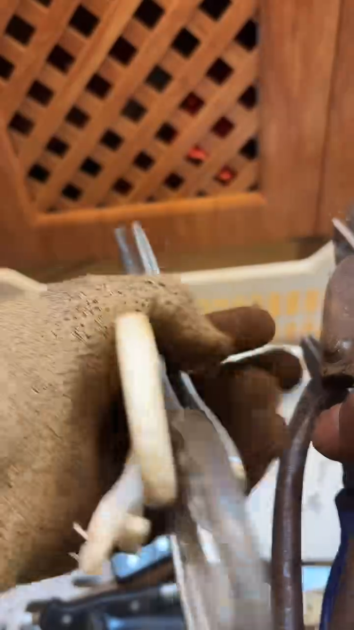 不锈钢葫**屋嘎嘎嘎嘎嘎嘎嘎