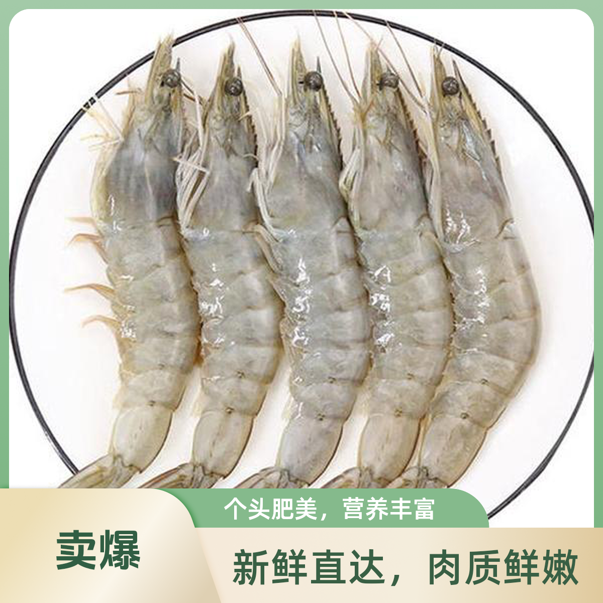 鼎峰海产 本港海明虾 鲜活速冻25-27头/斤  顺丰冷链包邮  博贺渔港