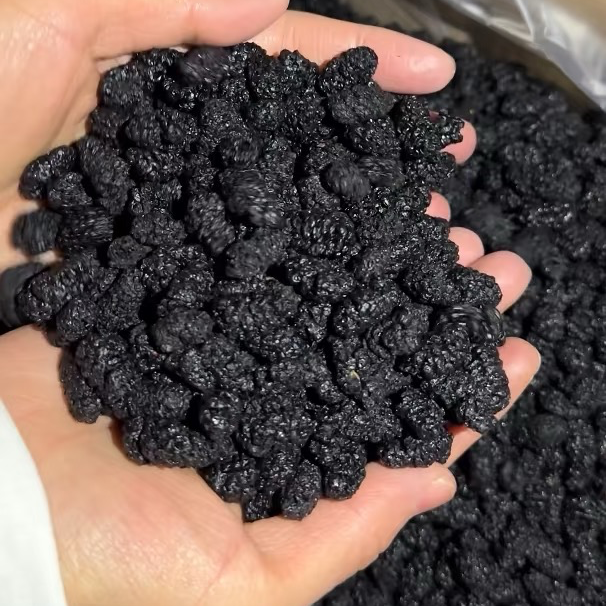 【桑葚】新疆特级桑葚