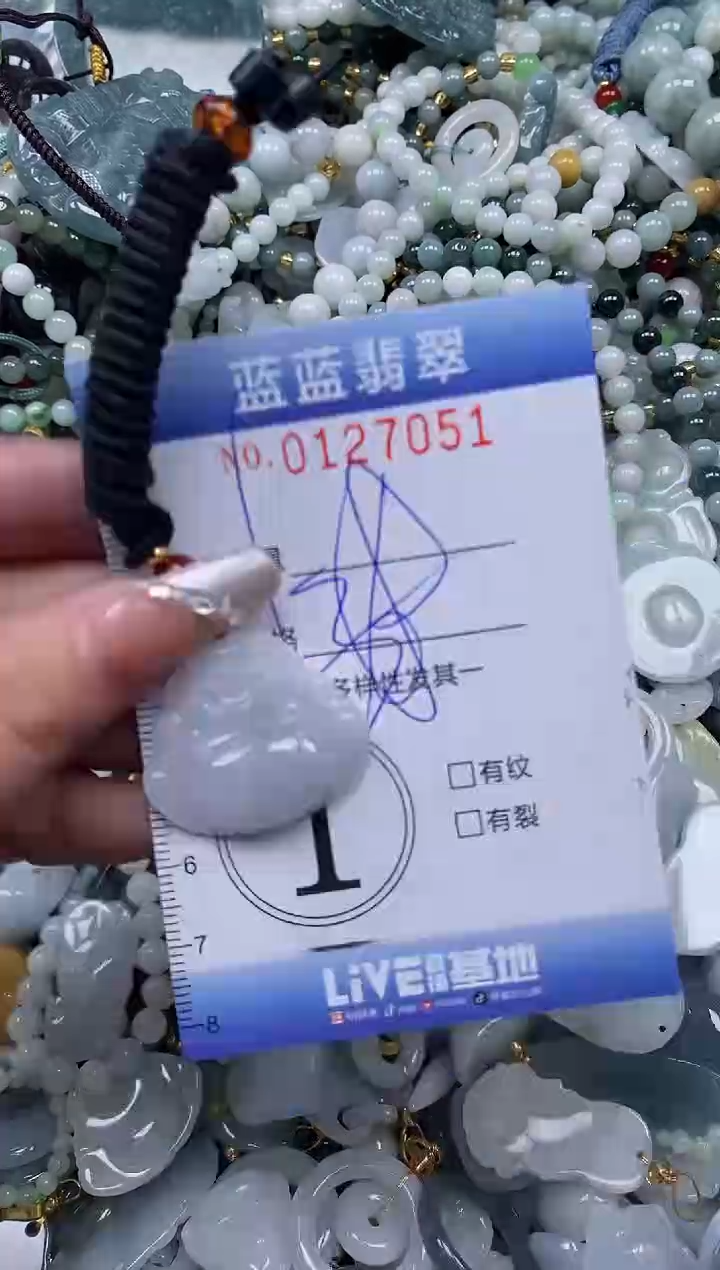 【闪购商品】翡翠颈饰未镶嵌闪购0127051多样性发其一