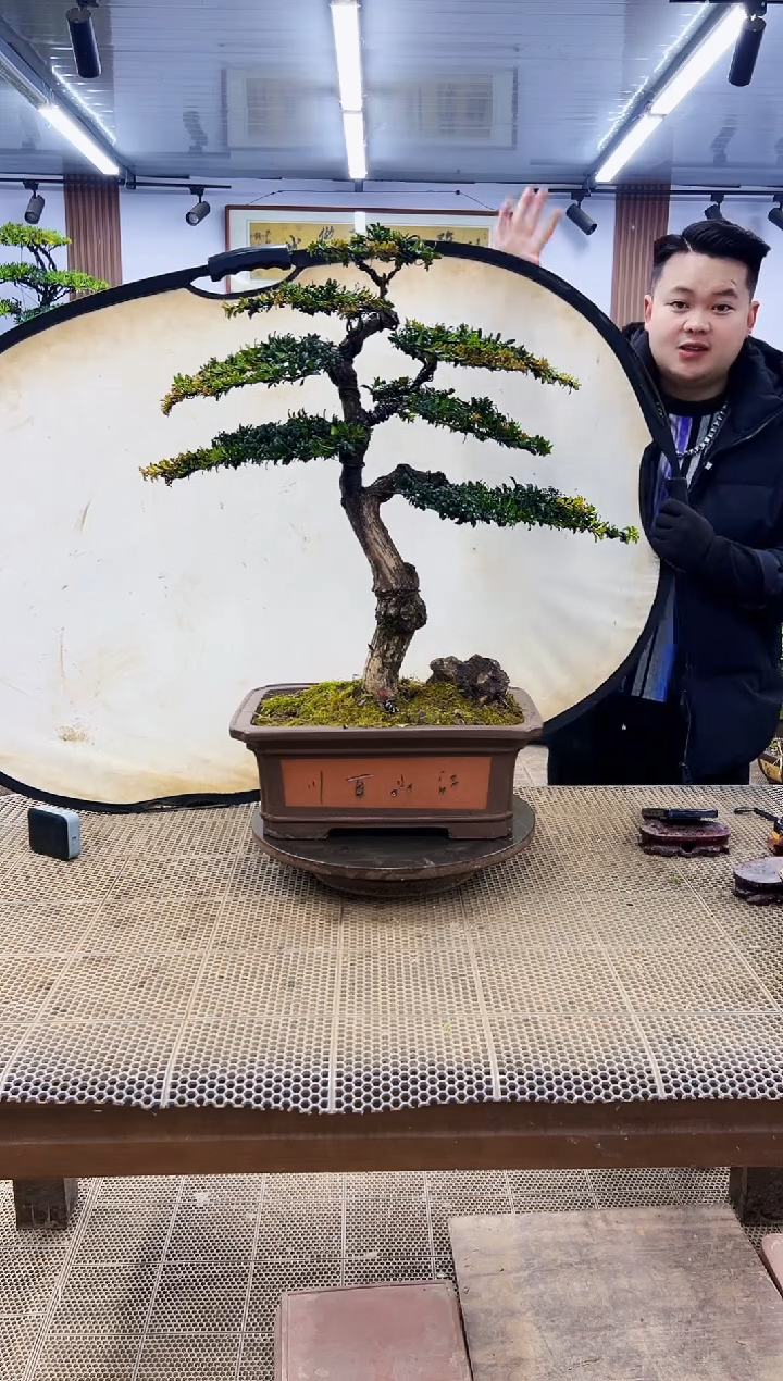 【闪购商品】0000000