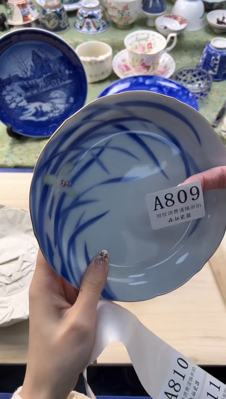 【闪购商品】瓷片          A809
