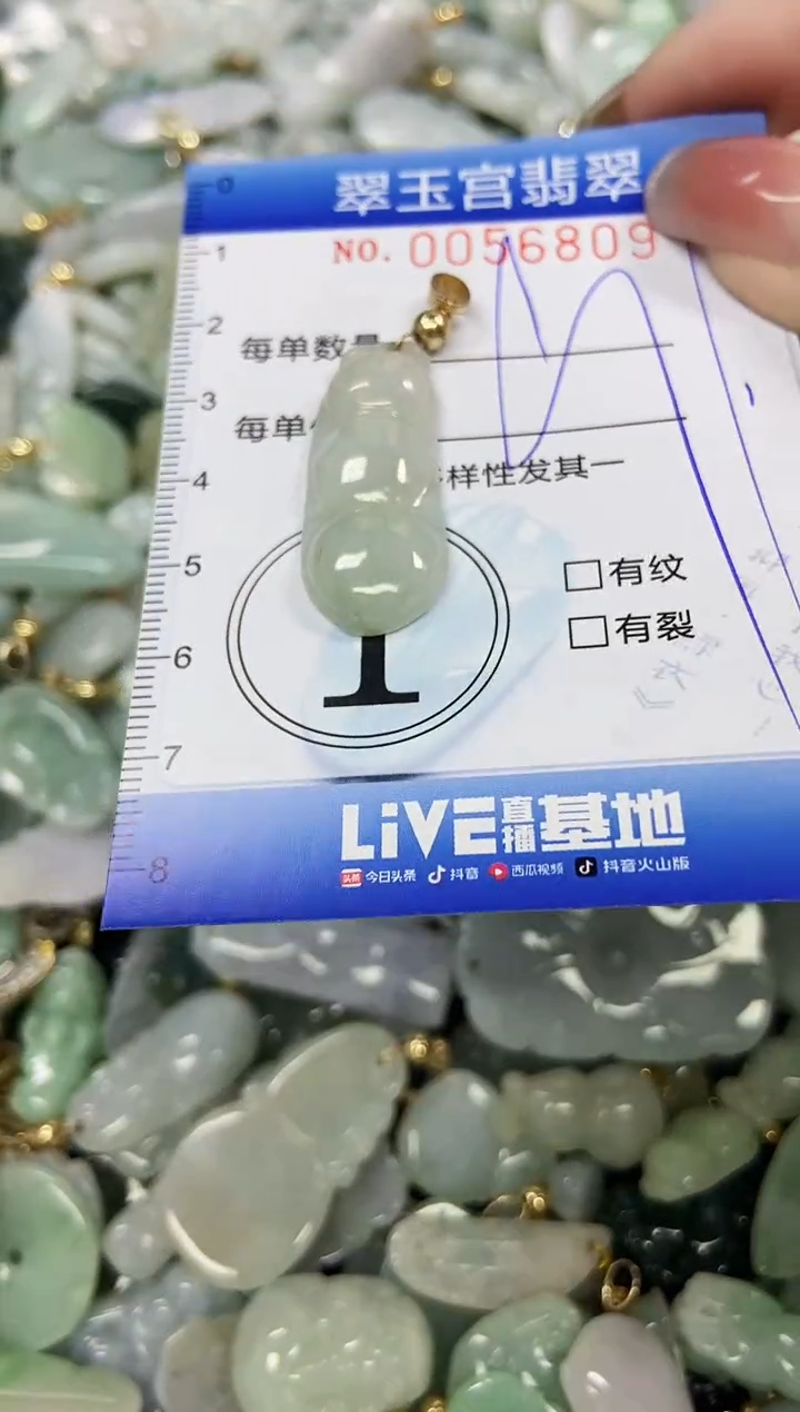 【闪购商品】翡翠颈饰未镶嵌闪购商品0056809