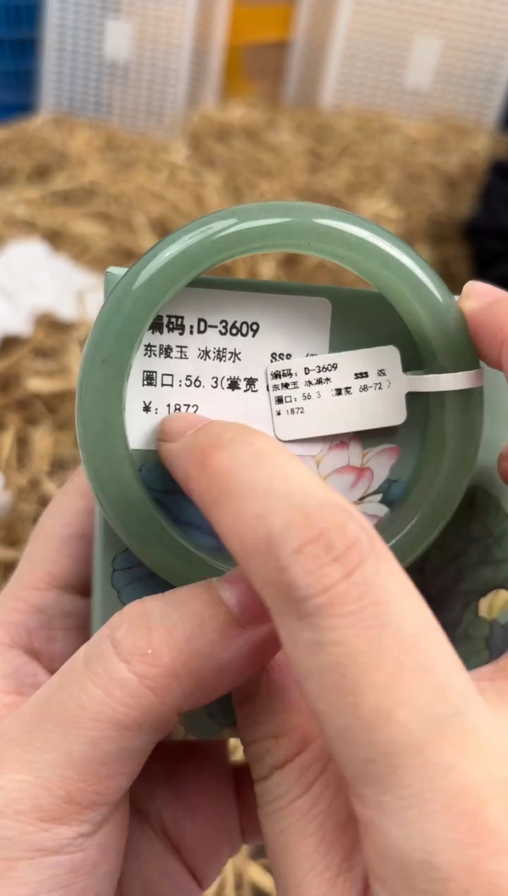 未镶嵌手镯石英质玉D-3609