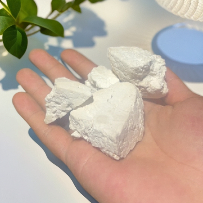 茯苓干货大山里的好货