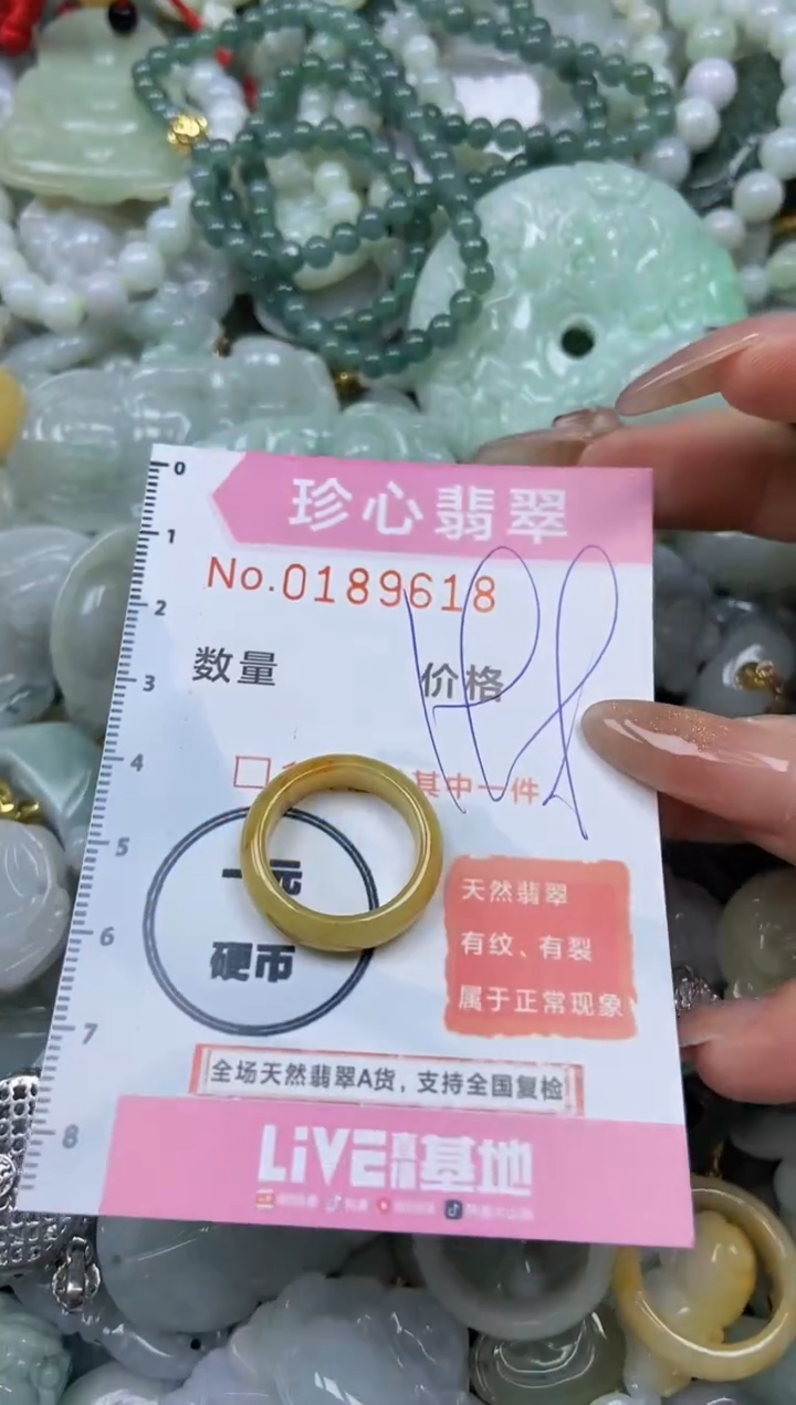 翡翠未镶嵌颈饰闪购链接0189618