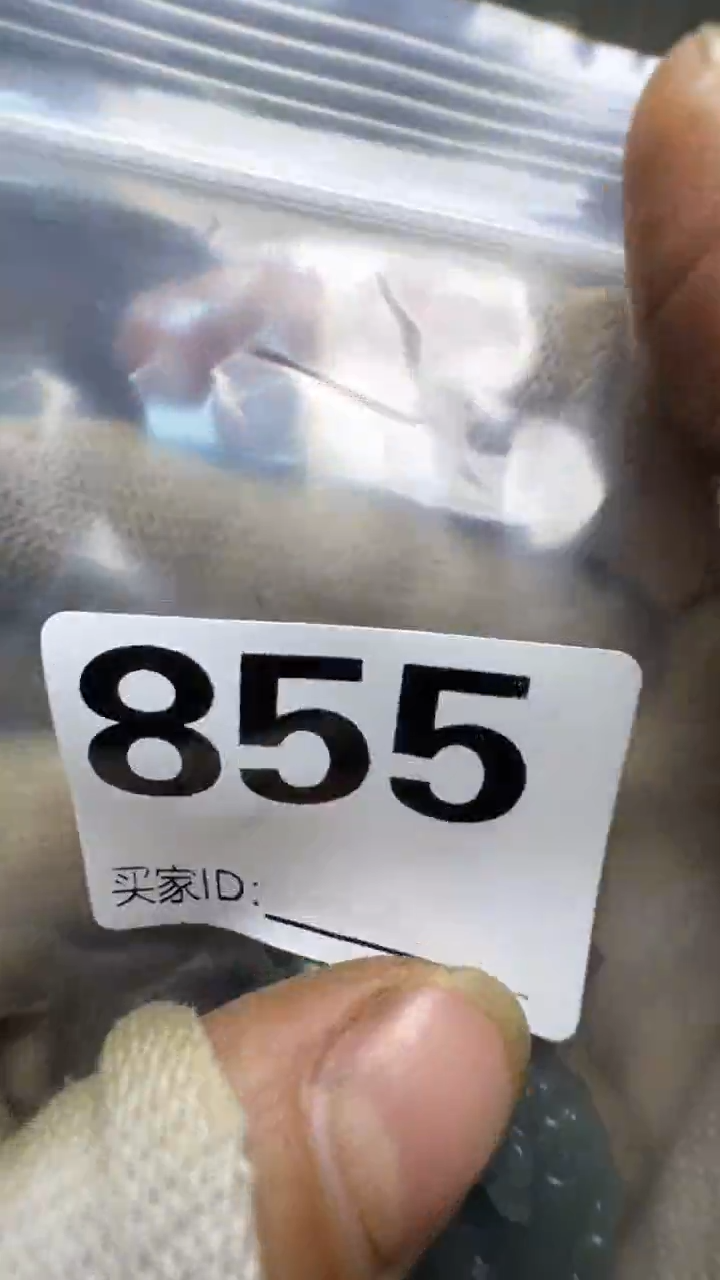 老*佳合创意屋专属链接