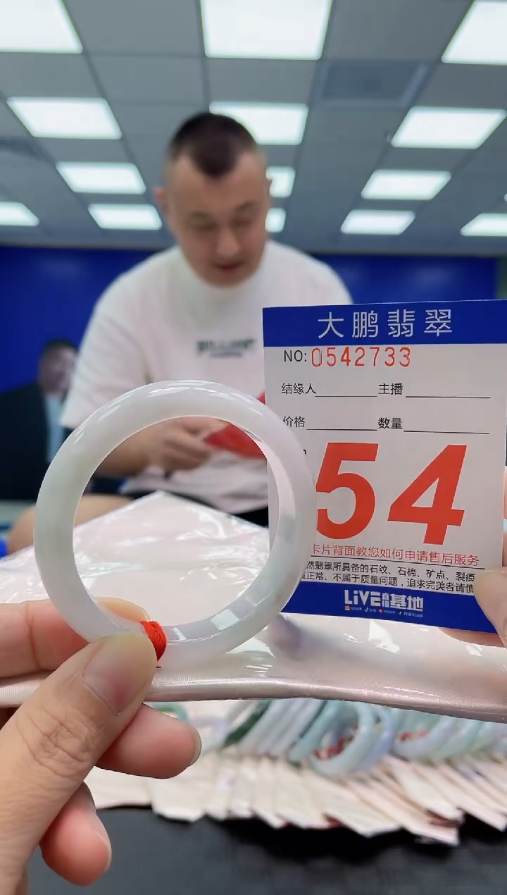 未镶嵌手镯翡翠AAAAAAAAAA