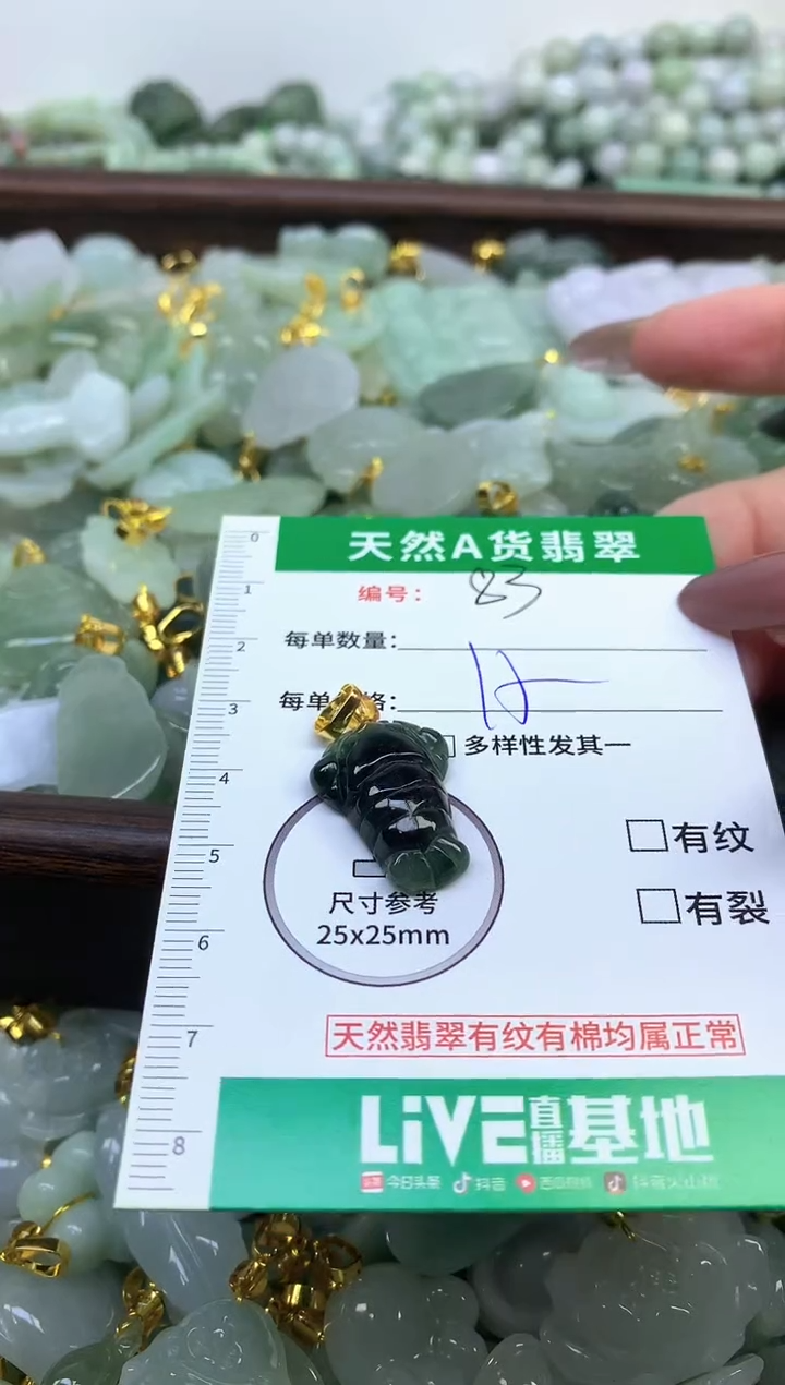 颈饰未镶嵌翡翠纯天然缅甸A货翡翠